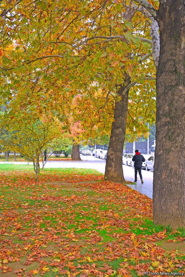 Бакинская осень - ФОТОСЕССИЯ