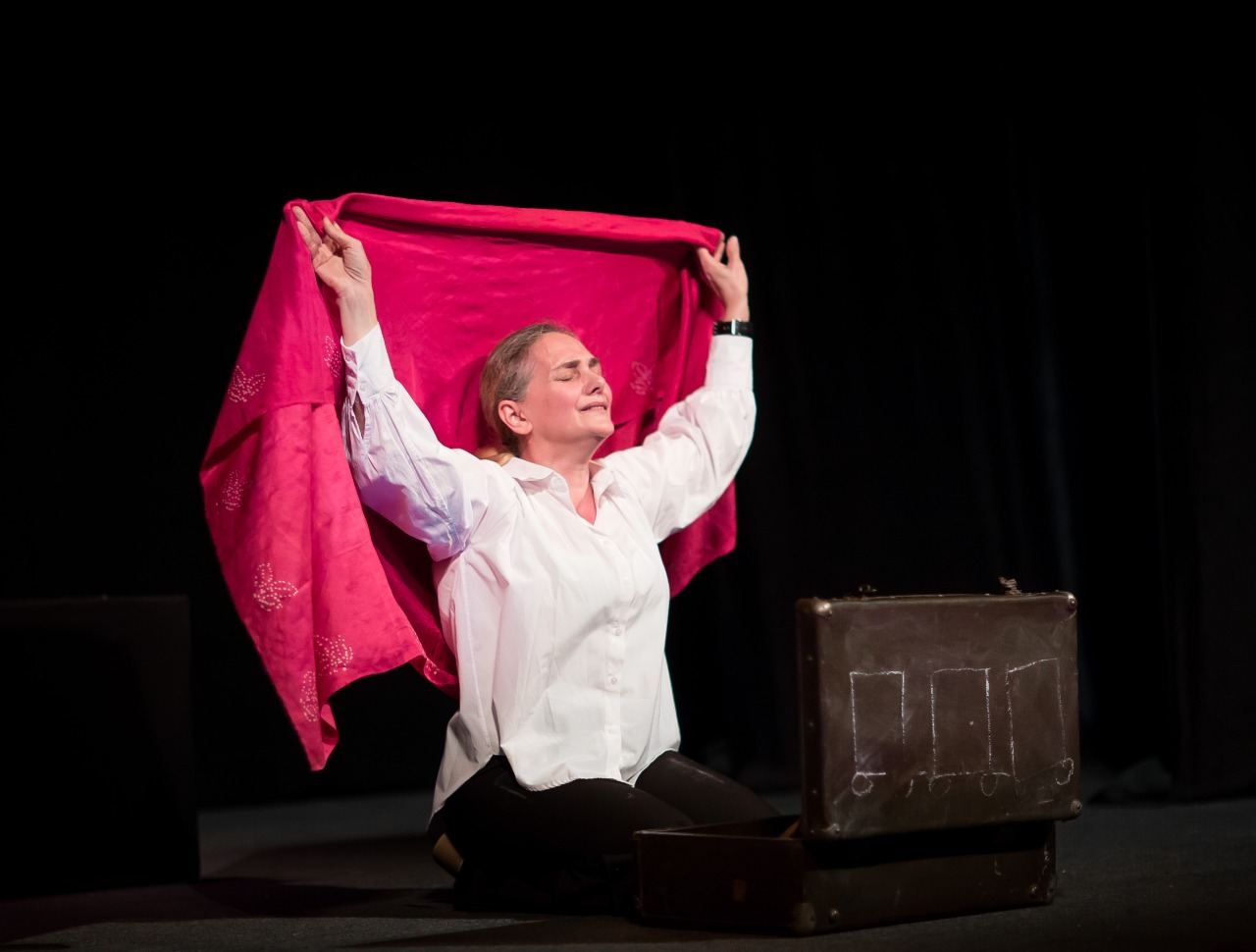 В Баку показали необычный чемодан … с бедами (ФОТО)