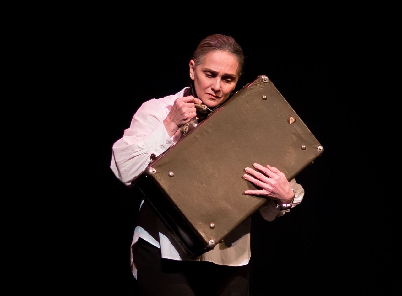 В Баку показали необычный чемодан … с бедами (ФОТО)