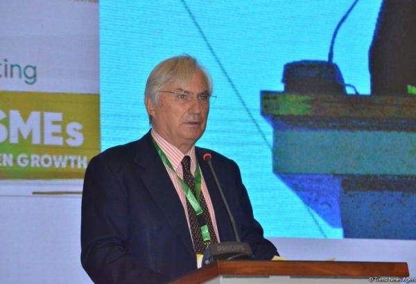 Азербайджан имеет передовой опыт в развитии МСП - Серджио Арзени