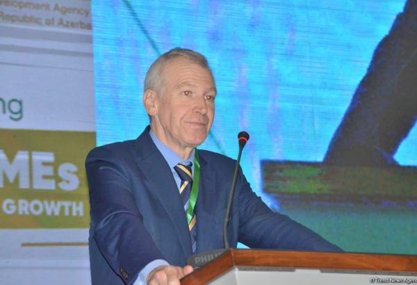 Диверсификация экономики -  лучший выбор для Азербайджана - Ив Летерм