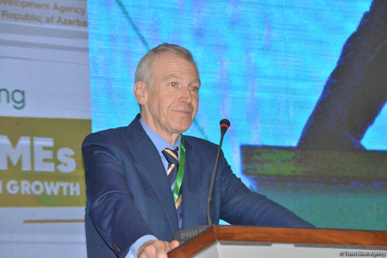 Диверсификация экономики -  лучший выбор для Азербайджана - Ив Летерм