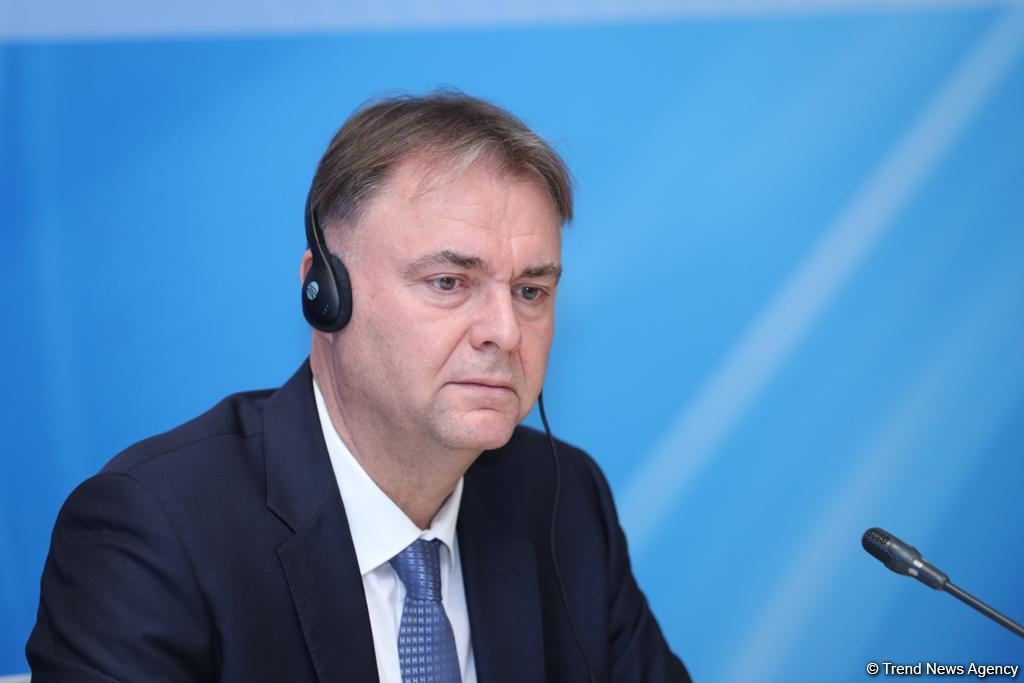 Азербайджан присоединился к 65 конвенциям по правам человека - Петр Зих