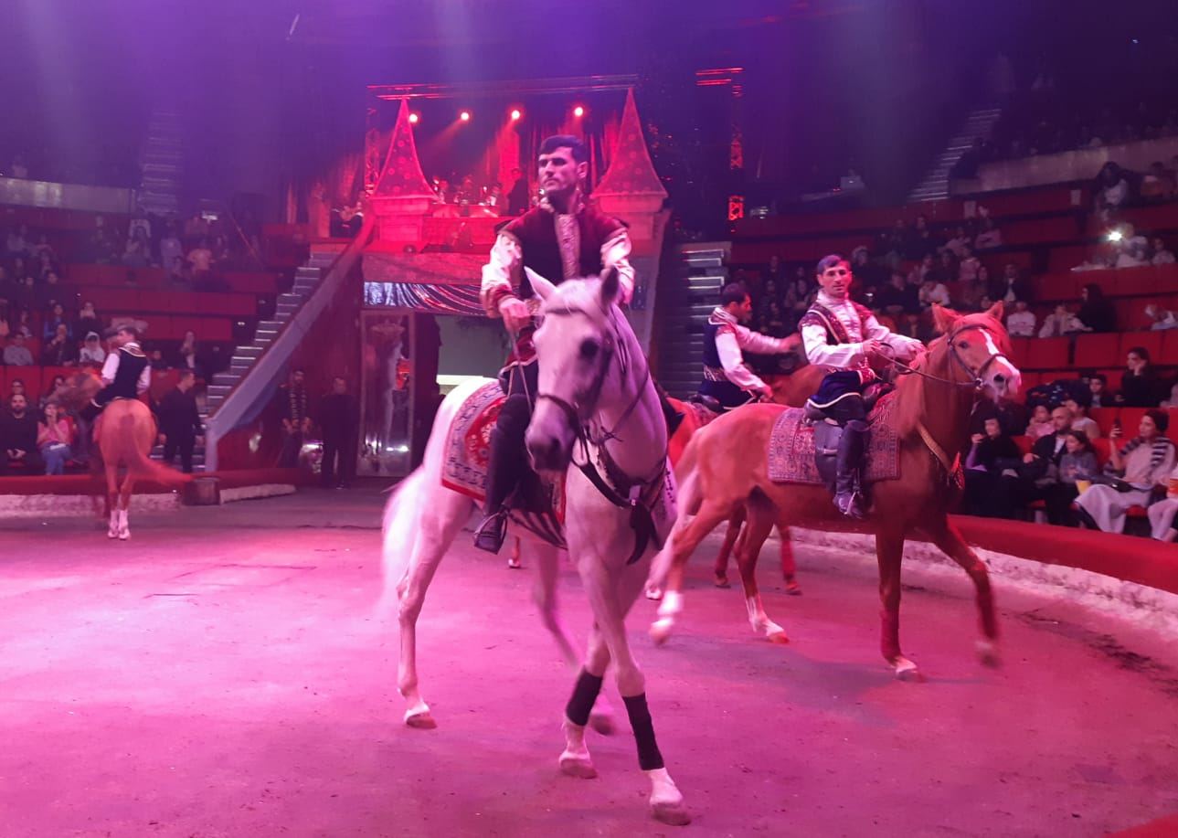 "Королевство зеркал" - время чудес в Бакинском цирке (ФОТО/ВИДЕО)