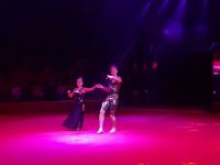 "Королевство зеркал" - время чудес в Бакинском цирке (ФОТО/ВИДЕО)