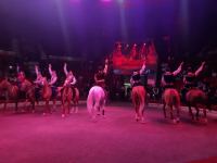 "Королевство зеркал" - время чудес в Бакинском цирке (ФОТО/ВИДЕО)