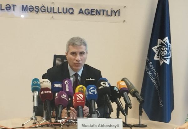 В этом году ожидаемый показатель занятости в Азербайджане составляет более 40 тысяч человек - Мустафа Аббасбейли