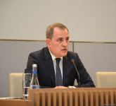 Глава МИД Азербайджана провел пресс-конференцию (ВИДЕО) (ФОТО)