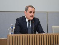 Глава МИД Азербайджана провел пресс-конференцию (ВИДЕО) (ФОТО)