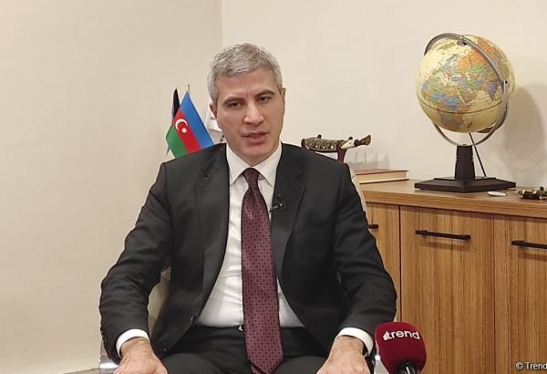 Государство поддерживает малый и средний бизнес созданием конкурентного рынка труда - Мустафа Аббасбейли