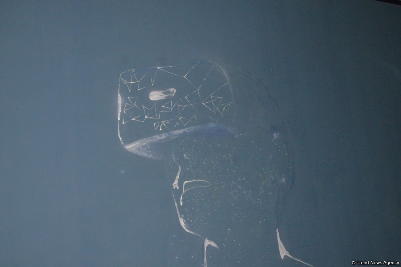 Современное развитие науки и образования - Репортаж из Инновационного центра STEAM