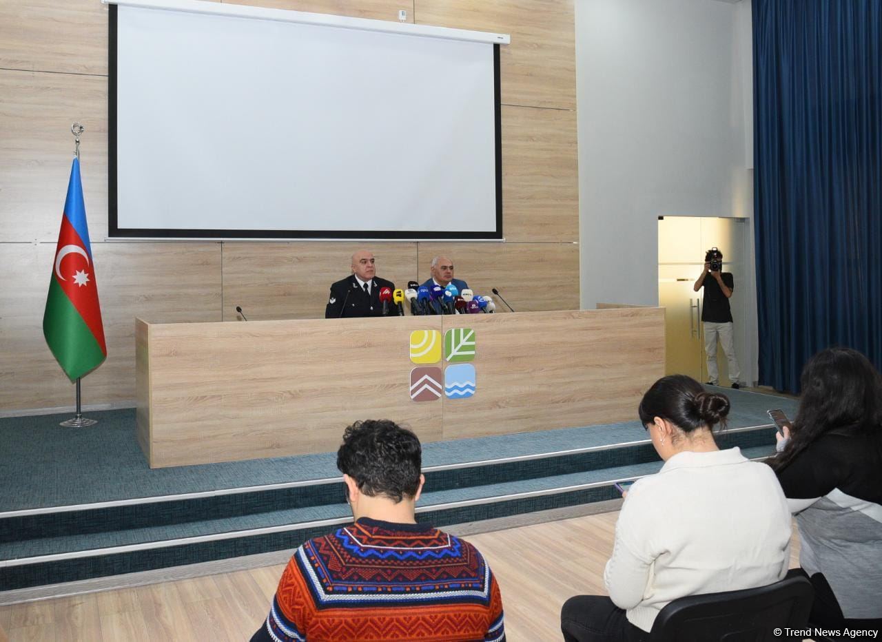 Составлено около 3000 протоколов о нанесении ущерба лесам (ФОТО)