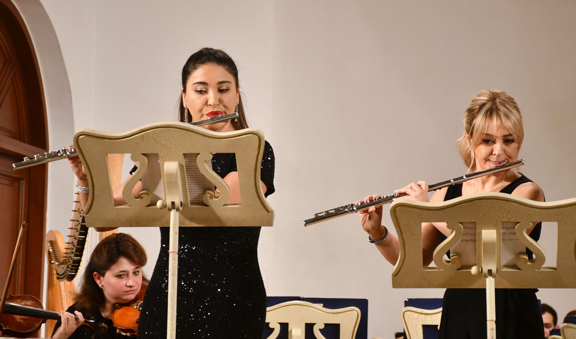 Красота звучания каждого инструмента – концерт в Баку (ФОТО/ВИДЕО)