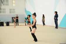 В Национальной гимнастической арене проходят учебно-тренировочные сборы спортсменок из Нахчывана и Зиря (ФОТО)