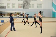 В Национальной гимнастической арене проходят учебно-тренировочные сборы спортсменок из Нахчывана и Зиря (ФОТО)