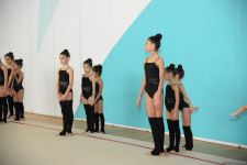 В Национальной гимнастической арене проходят учебно-тренировочные сборы спортсменок из Нахчывана и Зиря (ФОТО)