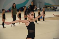 В Национальной гимнастической арене проходят учебно-тренировочные сборы спортсменок из Нахчывана и Зиря (ФОТО)