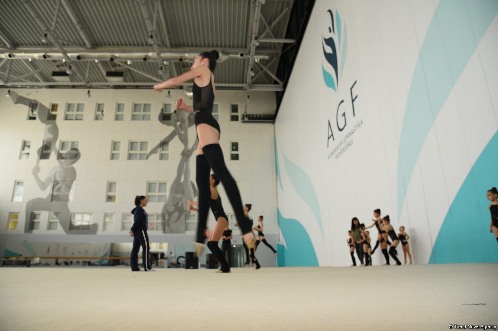 В Национальной гимнастической арене проходят учебно-тренировочные сборы спортсменок из Нахчывана и Зиря (ФОТО)