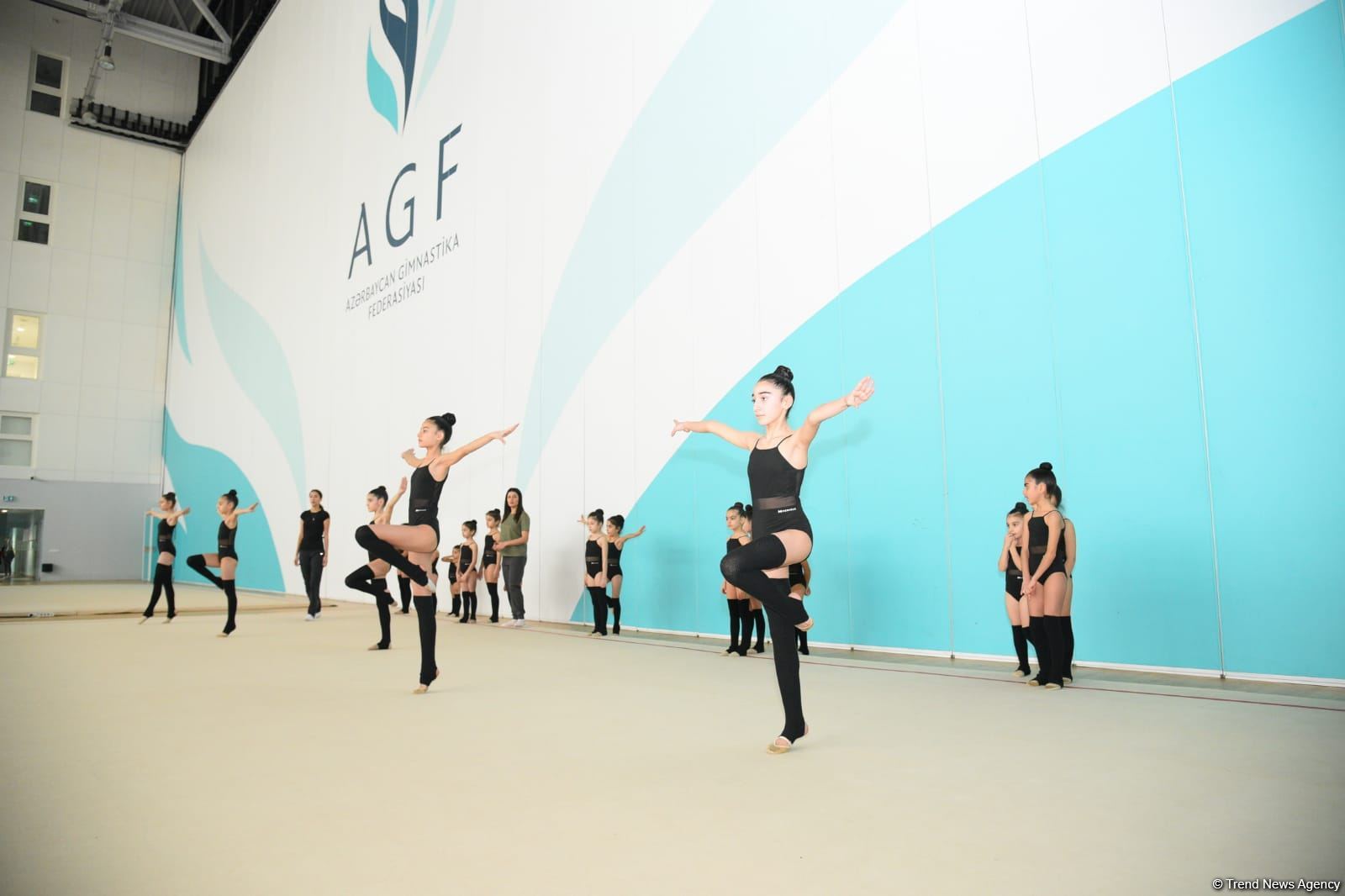 В Национальной гимнастической арене проходят учебно-тренировочные сборы спортсменок из Нахчывана и Зиря (ФОТО)