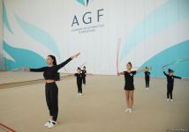 Гимнастки из Шамкира и Сумгайыта приехали на учебно-тренировочные сборы в Баку (ФОТО)