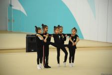 Гимнастки из Шамкира и Сумгайыта приехали на учебно-тренировочные сборы в Баку (ФОТО)