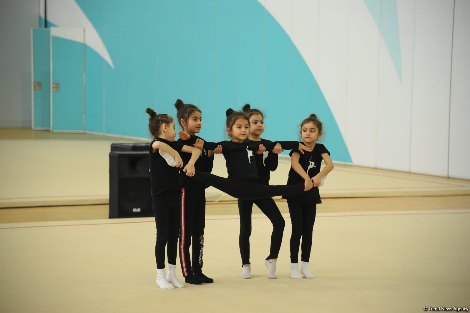 Гимнастки из Шамкира и Сумгайыта приехали на учебно-тренировочные сборы в Баку (ФОТО)