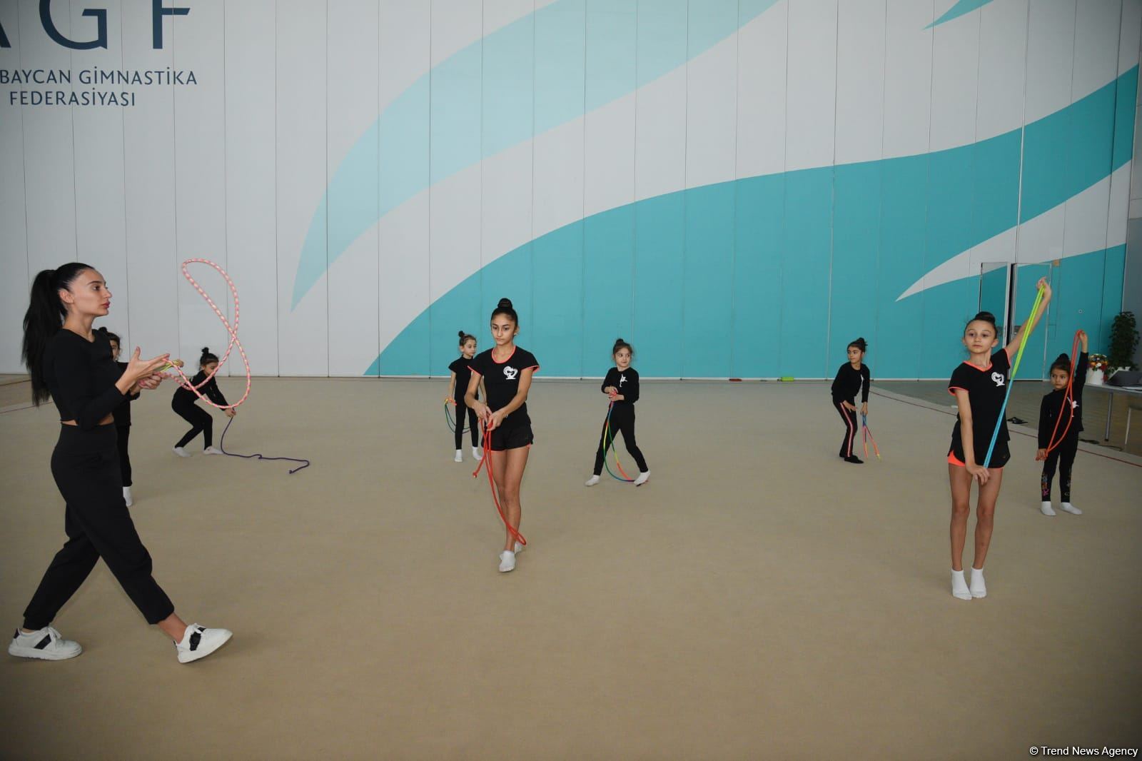 Гимнастки из Шамкира и Сумгайыта приехали на учебно-тренировочные сборы в Баку (ФОТО)