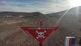 Зарубежные путешественники посетили город Физули, ознакомились с работами по разминированию (ФОТО)