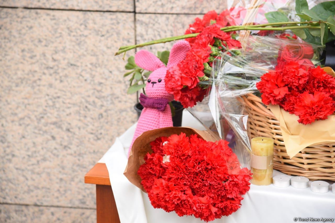 Граждане Азербайджана чтят память жертв землетрясения в Турции (ФОТО/ВИДЕО)