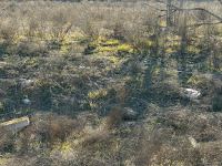 Армяне заминировали территории вокруг массовых захоронений в Физули (ФОТО/ВИДЕО)