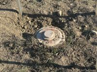 Армяне заминировали территории вокруг массовых захоронений в Физули (ФОТО/ВИДЕО)