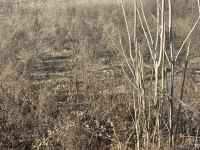 Армяне заминировали территории вокруг массовых захоронений в Физули (ФОТО/ВИДЕО)