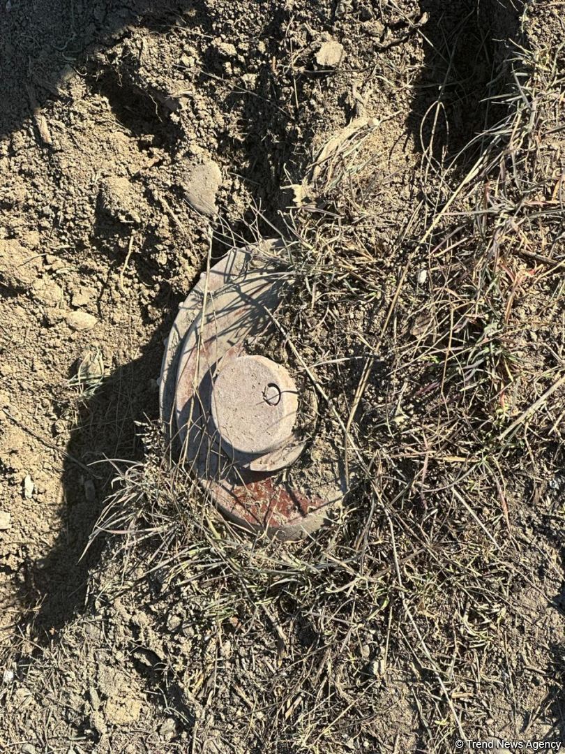 Армяне заминировали территории вокруг массовых захоронений в Физули (ФОТО/ВИДЕО)