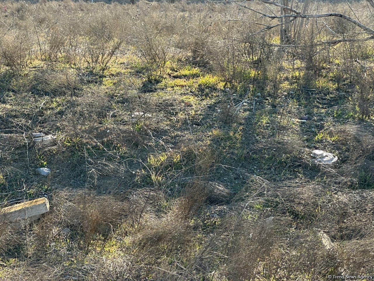 Армяне заминировали территории вокруг массовых захоронений в Физули (ФОТО/ВИДЕО)