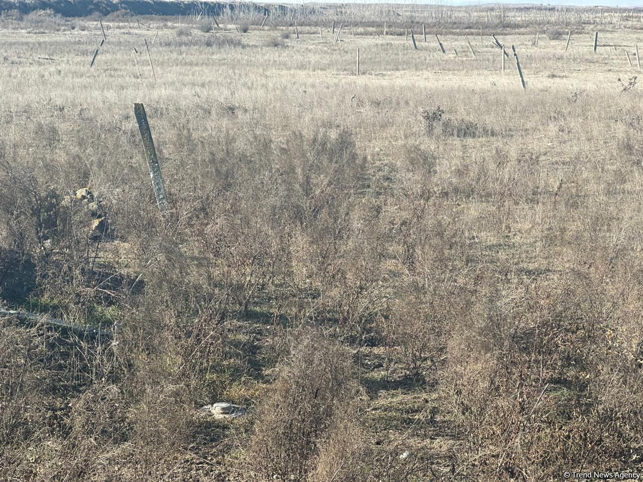 Армяне заминировали территории вокруг массовых захоронений в Физули (ФОТО/ВИДЕО)