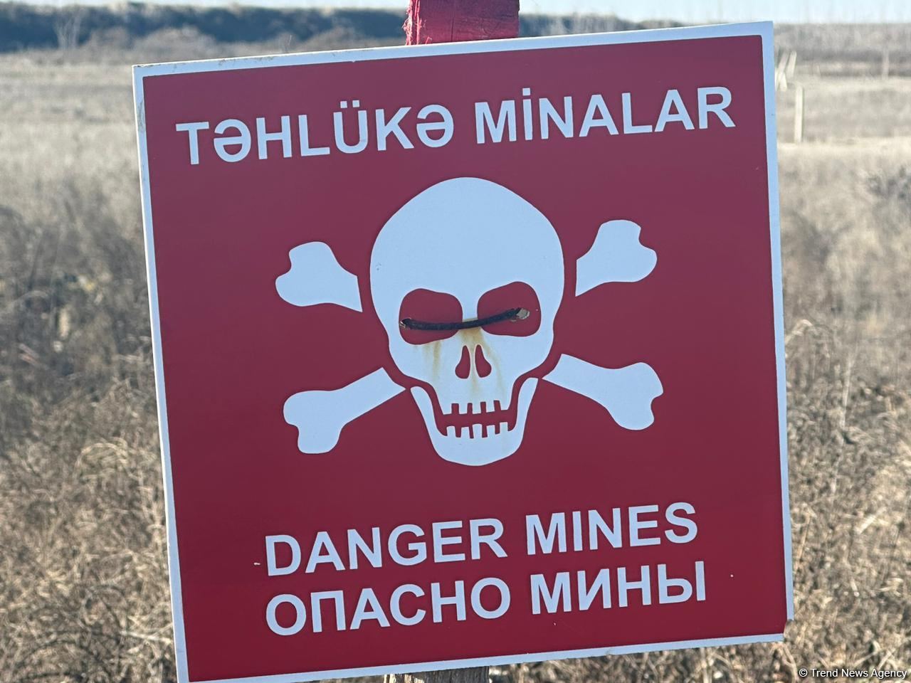 Армяне заминировали территории вокруг массовых захоронений в Физули (ФОТО/ВИДЕО)