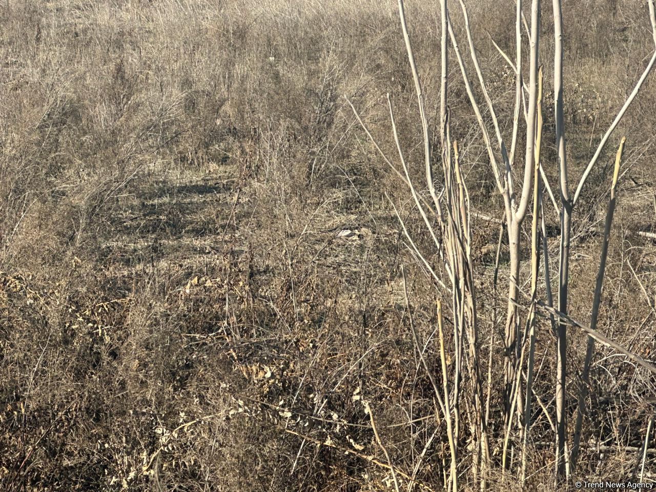 Армяне заминировали территории вокруг массовых захоронений в Физули (ФОТО/ВИДЕО)