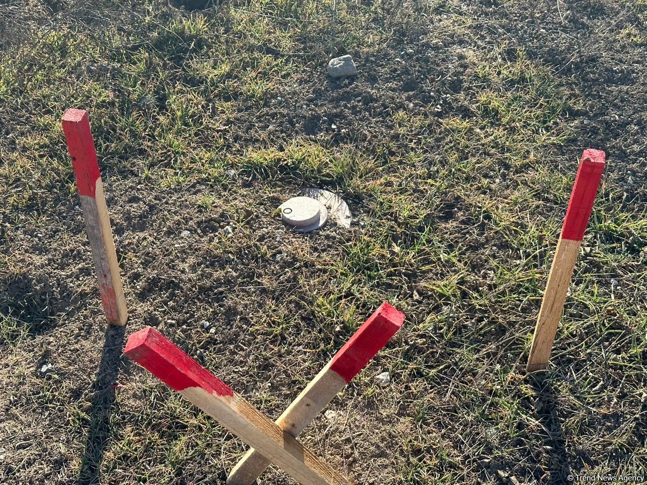 Армяне заминировали территории вокруг массовых захоронений в Физули (ФОТО/ВИДЕО)