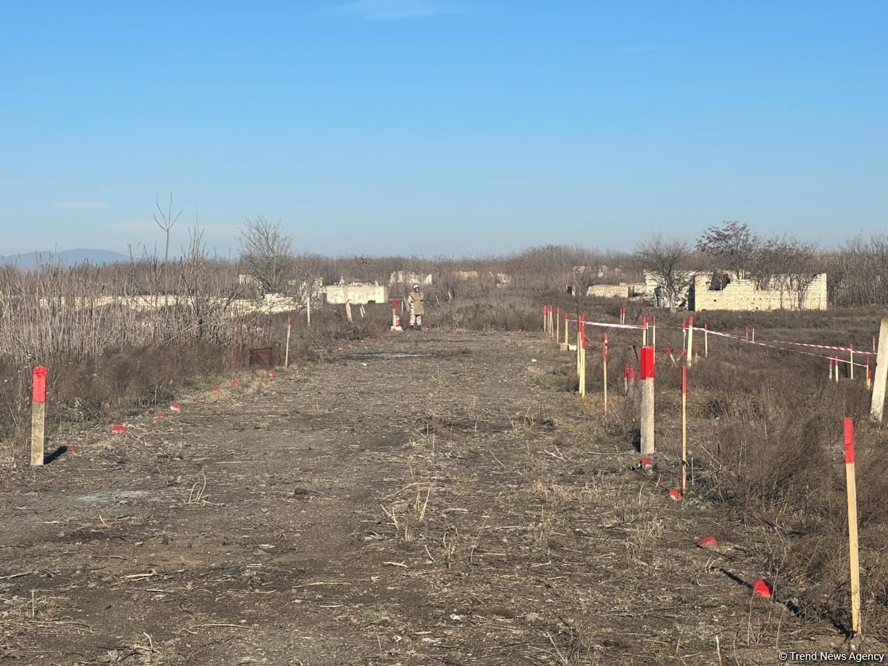 Армяне заминировали территории вокруг массовых захоронений в Физули (ФОТО/ВИДЕО)