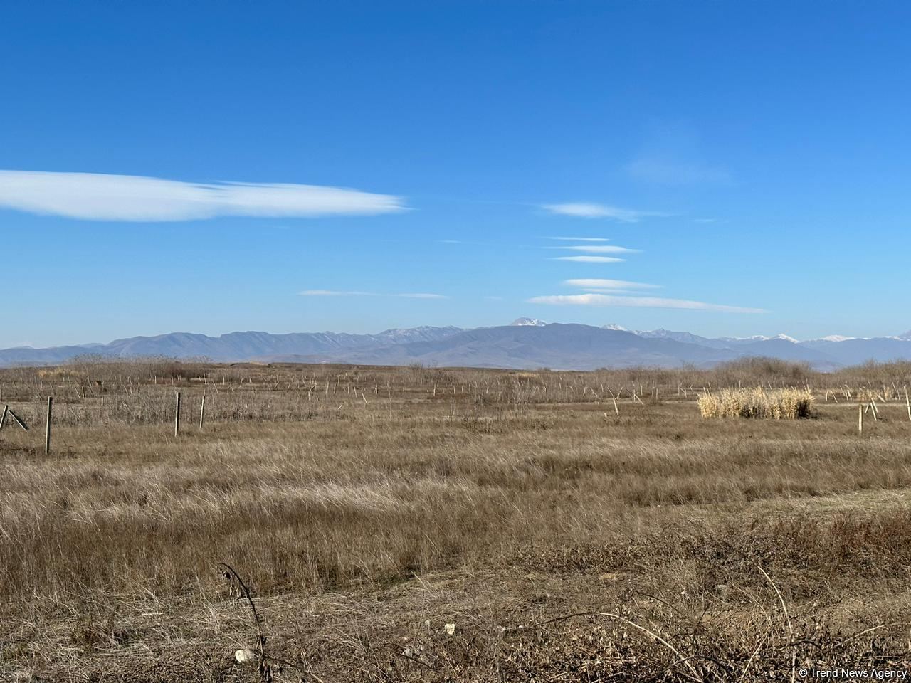 Армяне заминировали территории вокруг массовых захоронений в Физули (ФОТО/ВИДЕО)