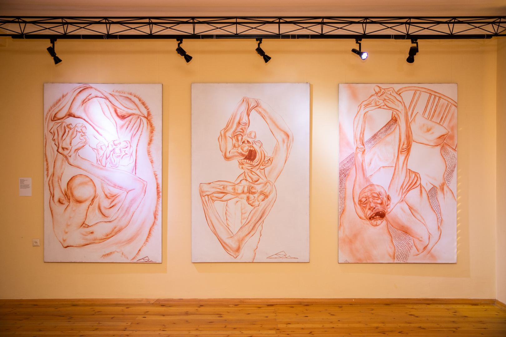 YARAT представил в Саатлы выставку художников "Тонкие наблюдения" (ФОТО)