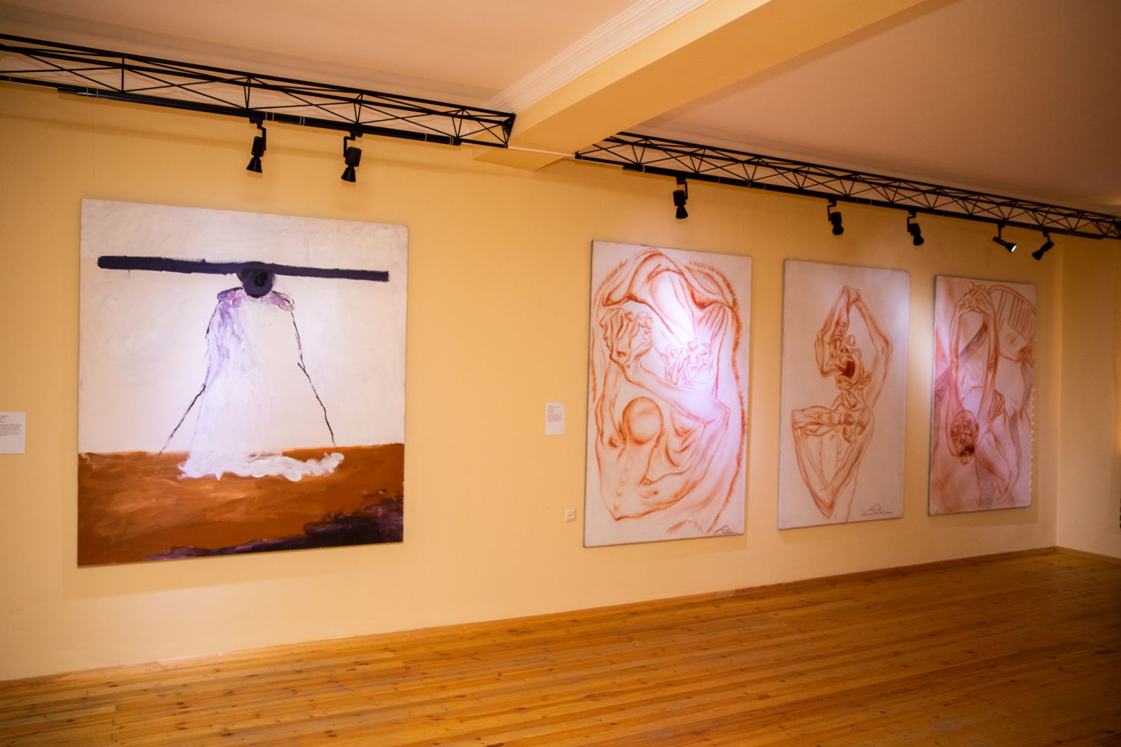 YARAT представил в Саатлы выставку художников "Тонкие наблюдения" (ФОТО)