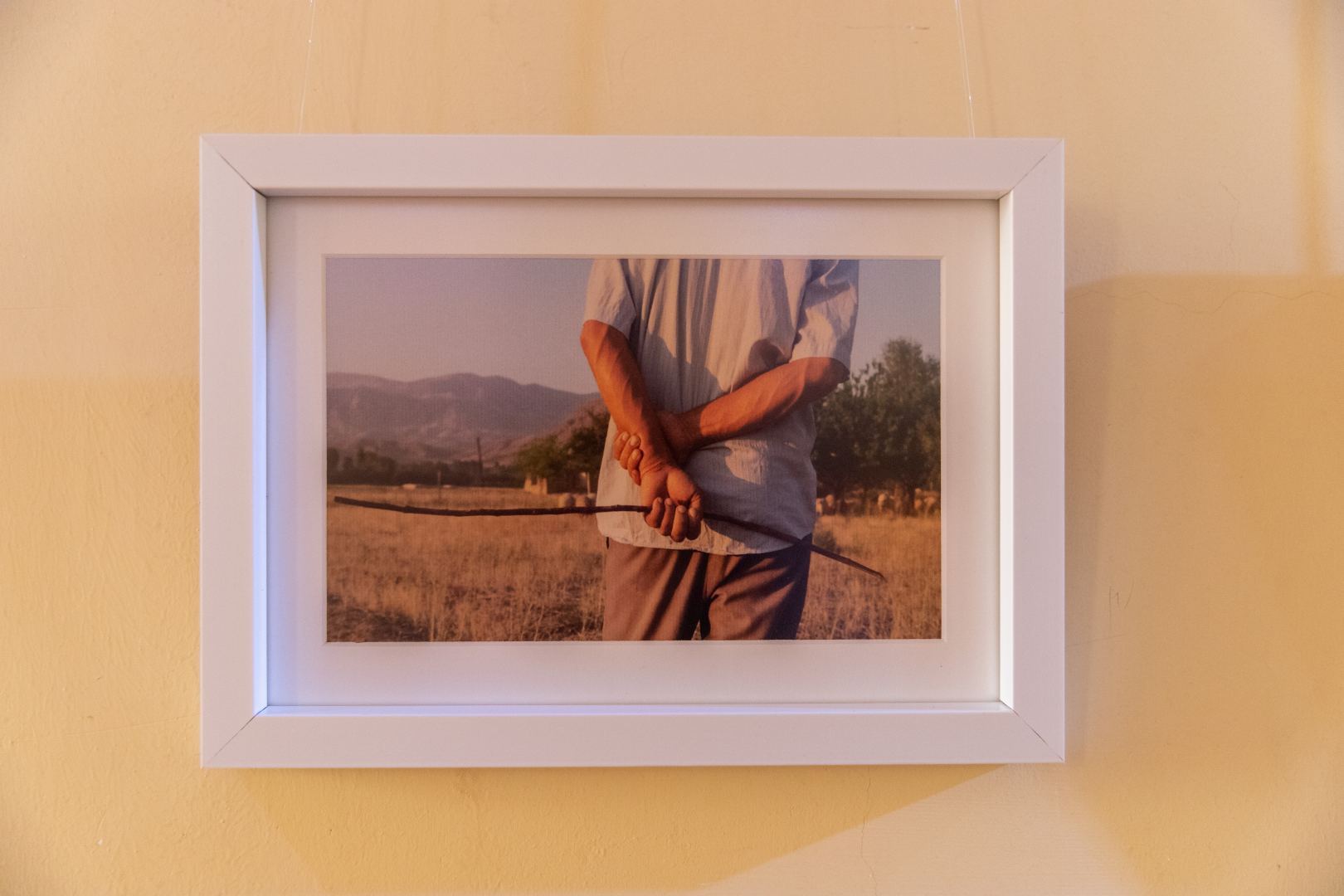 YARAT представил в Саатлы выставку художников "Тонкие наблюдения" (ФОТО)