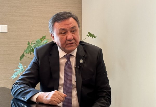 Названо место проведения очередного заседания министров труда, занятости и социальной защиты стран-членов ОТГ