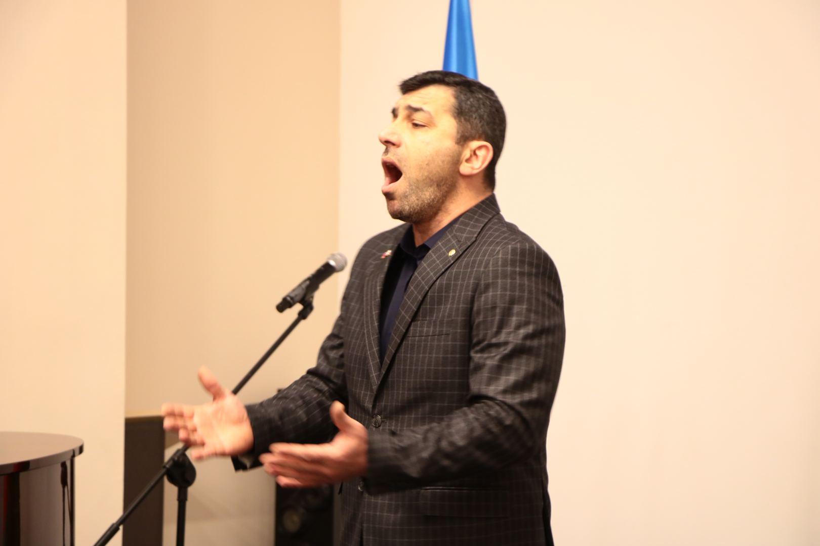 Неотразимая, восхитительная, чудесная и очаровательная дива… - концерт в Баку (ФОТО)