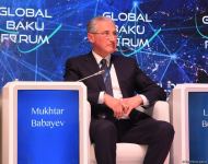 X Глобальный Бакинский форум продолжил работу панельными заседаниями (ФОТО)