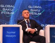 В рамках Глобального Бакинского форума состоялось четвертое панельное заседание (ФОТО)
