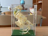 Вдоль водохранилища Суговушан строятся туристические объекты (ФОТО)