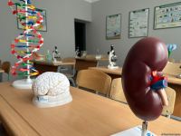 Вдоль водохранилища Суговушан строятся туристические объекты (ФОТО)