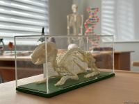 Вдоль водохранилища Суговушан строятся туристические объекты (ФОТО)